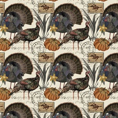 Autumn Palette Collection F