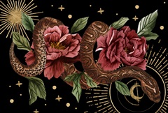 Burn and Shine Collection A