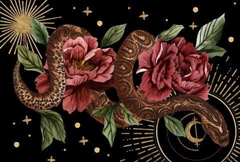 Burn and Shine Collection A