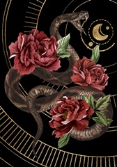 Burn and Shine Collection B