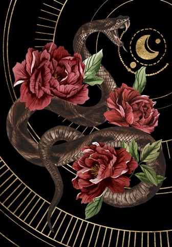 Burn and Shine Collection B