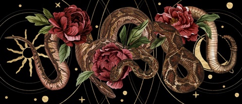 Burn and Shine Collection D