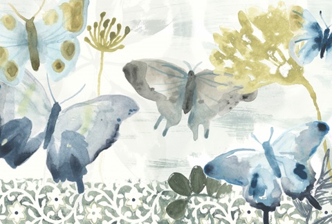 Butterfly Concerto Collection A