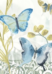 Butterfly Concerto Collection B