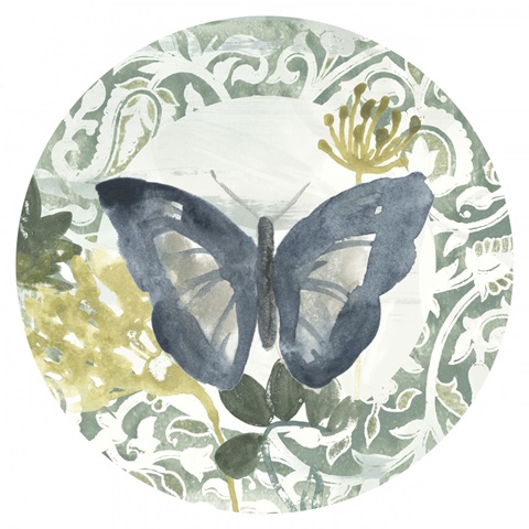 Butterfly Concerto Collection C