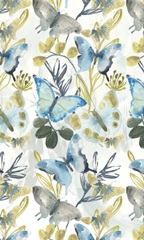 Butterfly Concerto Collection E