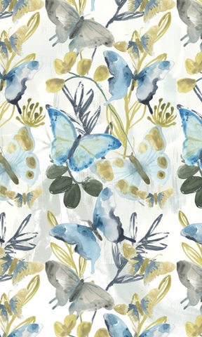 Butterfly Concerto Collection E