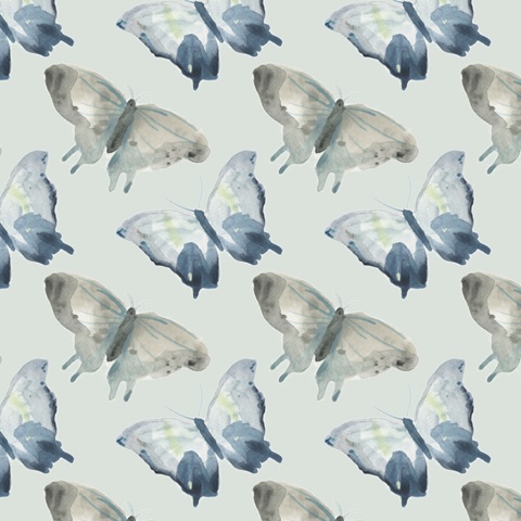 Butterfly Concerto Collection F