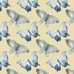 Butterfly Concerto Collection G