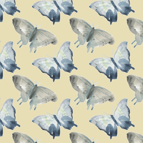 Butterfly Concerto Collection G