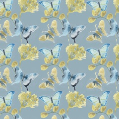 Butterfly Concerto Collection H