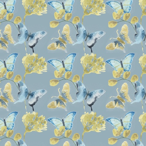 Butterfly Concerto Collection H