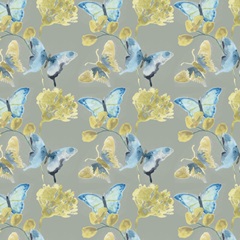 Butterfly Concerto Collection I