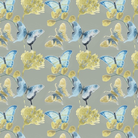 Butterfly Concerto Collection I