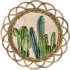 Desert Weavers Collection C