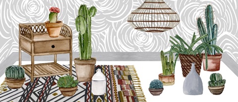 Desert Weavers Collection D