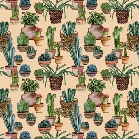 Desert Weavers Collection F