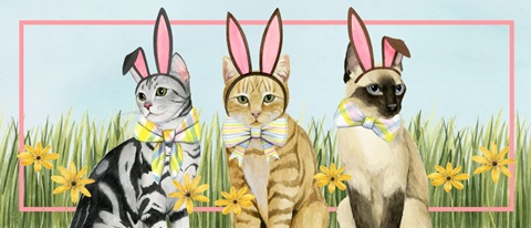 Easter Cats Collection D
