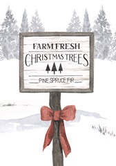 Evergreen Farm Collection B