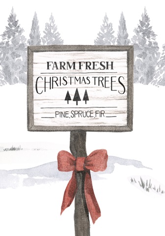 Evergreen Farm Collection B