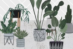 Family Portrait Collection A