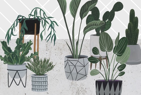 Family Portrait Collection A