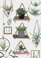 Family Portrait Collection B