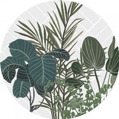 Family Portrait Collection C