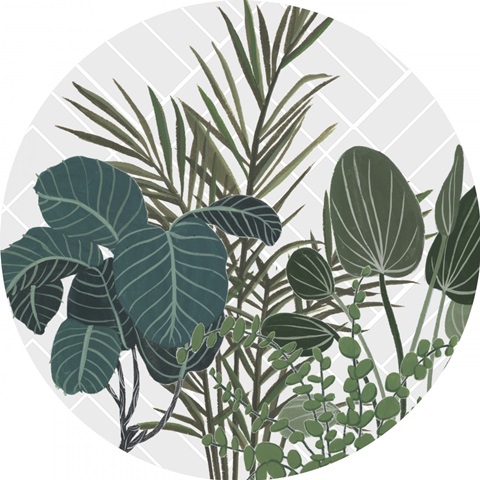 Family Portrait Collection C