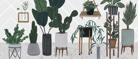 Family Portrait Collection D