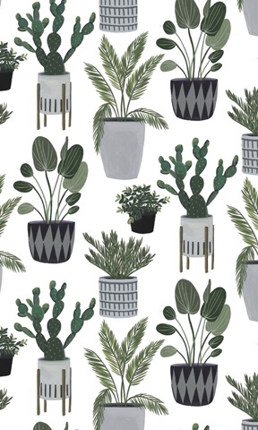 Family Portrait Collection E