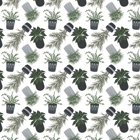 Family Portrait Collection F