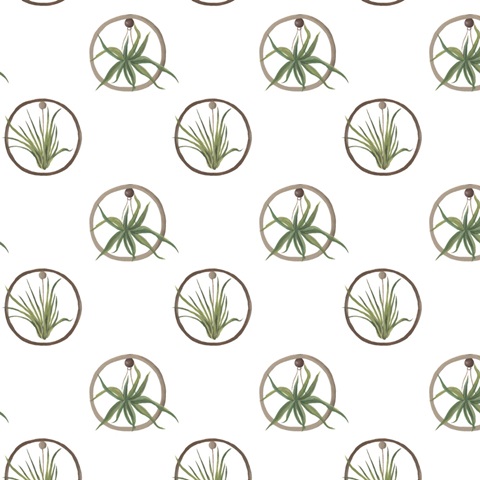 Family Portrait Collection I