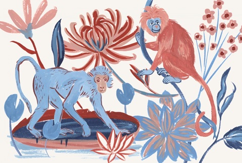 From the Jungle Collection A