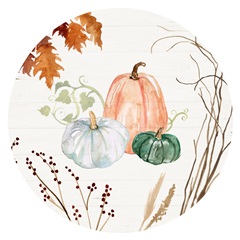 Harvest Owl Collection C