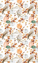 Harvest Owl Collection E