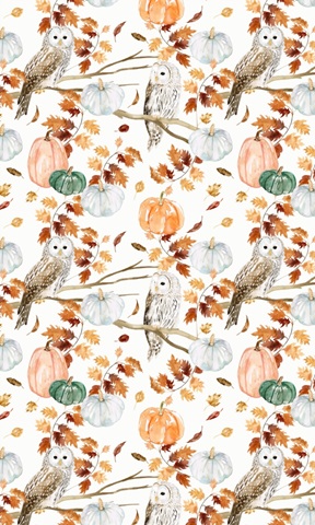 Harvest Owl Collection E