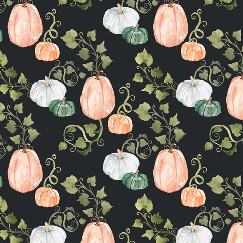 Harvest Owl Collection F