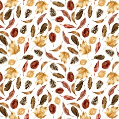 Harvest Owl Collection I