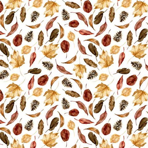 Harvest Owl Collection I