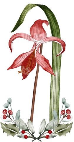 Merry Blossom Collection B