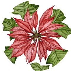 Merry Blossom Collection C