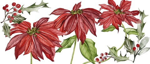 Merry Blossom Collection D