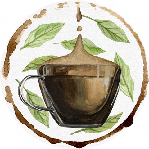 Morning Coffee Collection C