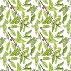 Morning Coffee Collection H