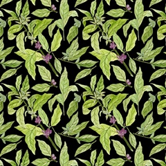 Morning Coffee Collection I