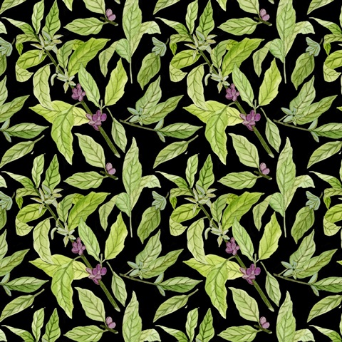 Morning Coffee Collection I