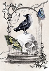 Nevermore Collection B