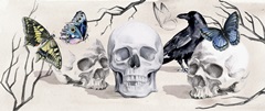 Nevermore Collection D