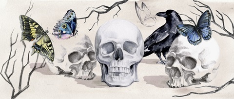 Nevermore Collection D